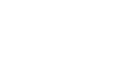 Turkish Council Online Course